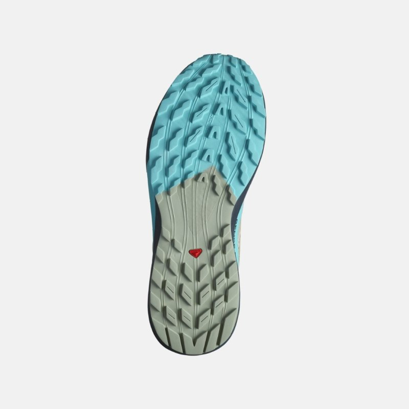 Picture of SALOMON Sense Ride 5 Ανδρικά Παπούτσια Trail Running Alfalfa / Carbon / Peacock Blue