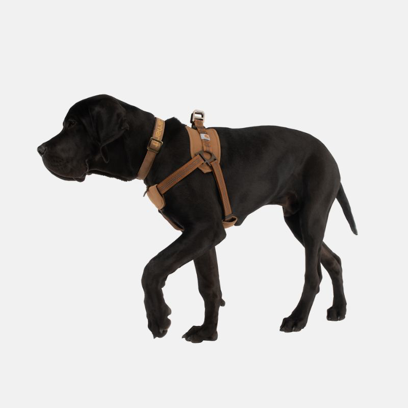 Picture of CARHARTT Cargo Series Nylon Ripstop Work Dog Harness P000341 Ολόσωμη Ζώνη Σκύλου 211 - Carhartt Brown