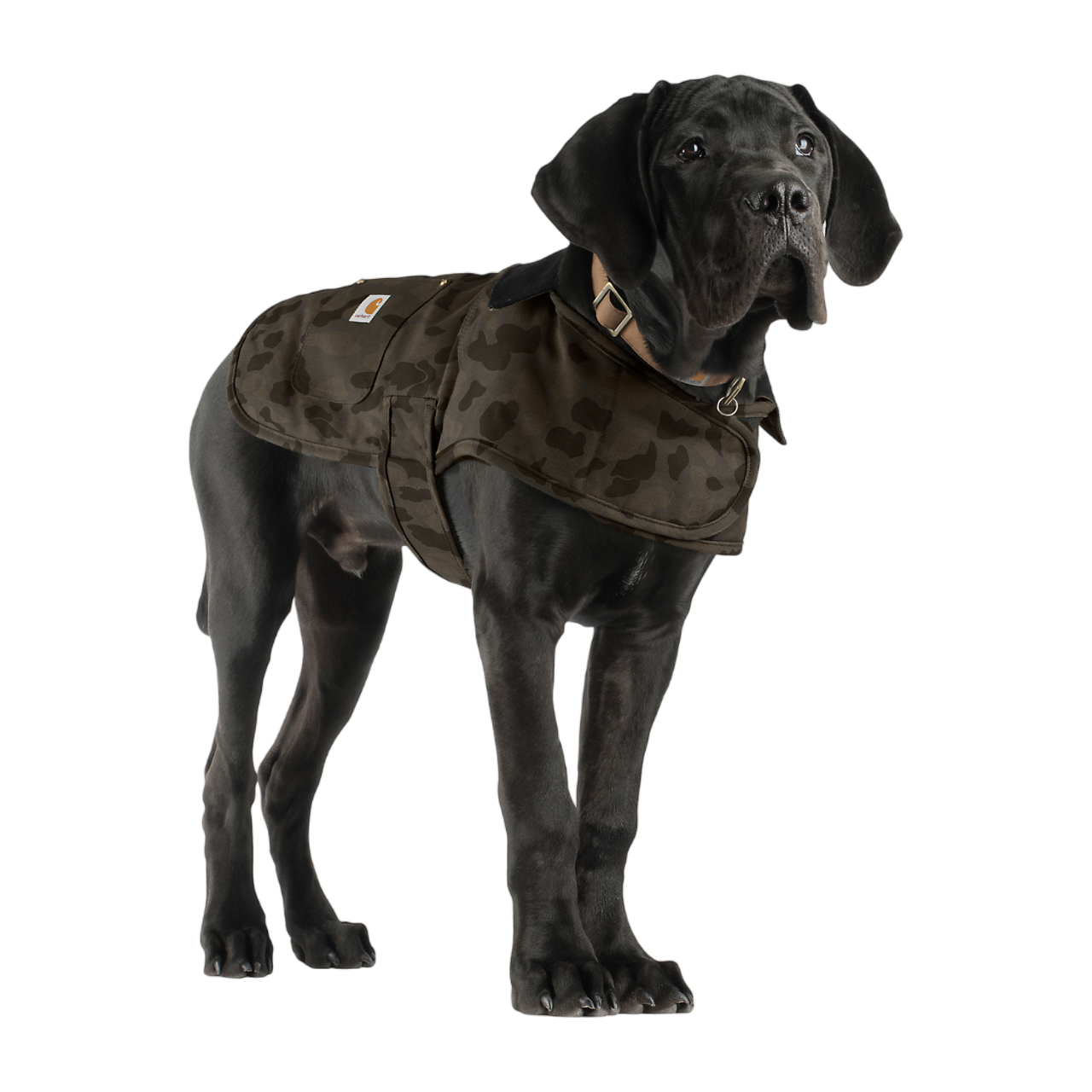 Picture of CARHARTT Firm Duck Insulated Dog Chore Coat P000417 Μπουφάν Σκύλου 901 - Tarmac / Duck Camo