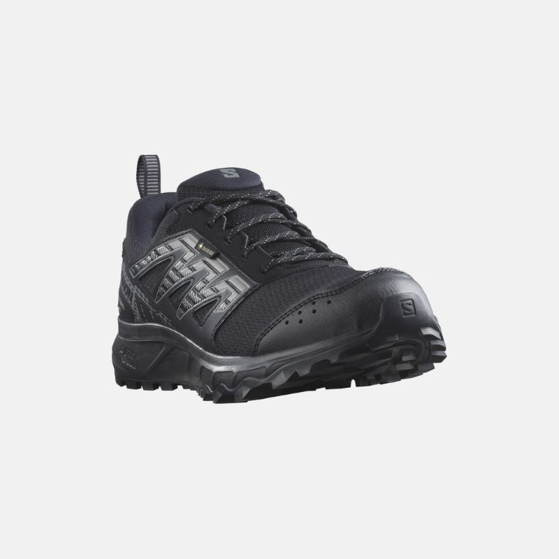 Picture of SALOMON XA Pro Wander Gtx Ανδρικά Παπούτσια Οutdoor & Hiking Black / Pewter / Frost Gray