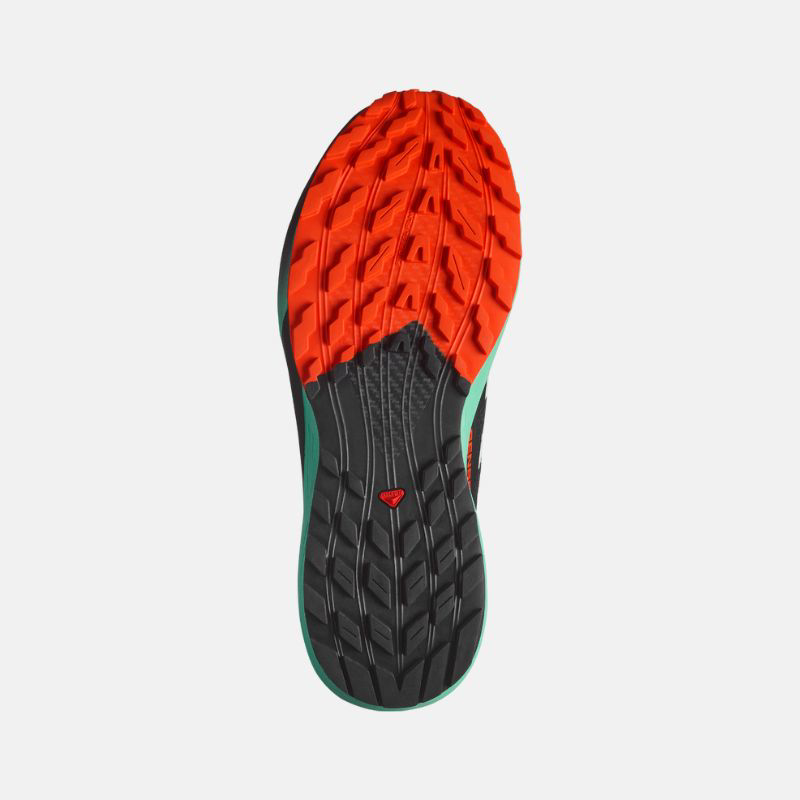 Picture of SALOMON Sense Ride 5 Ανδρικά Παπούτσια Trail Running Black / Bay / Cherry Tomato