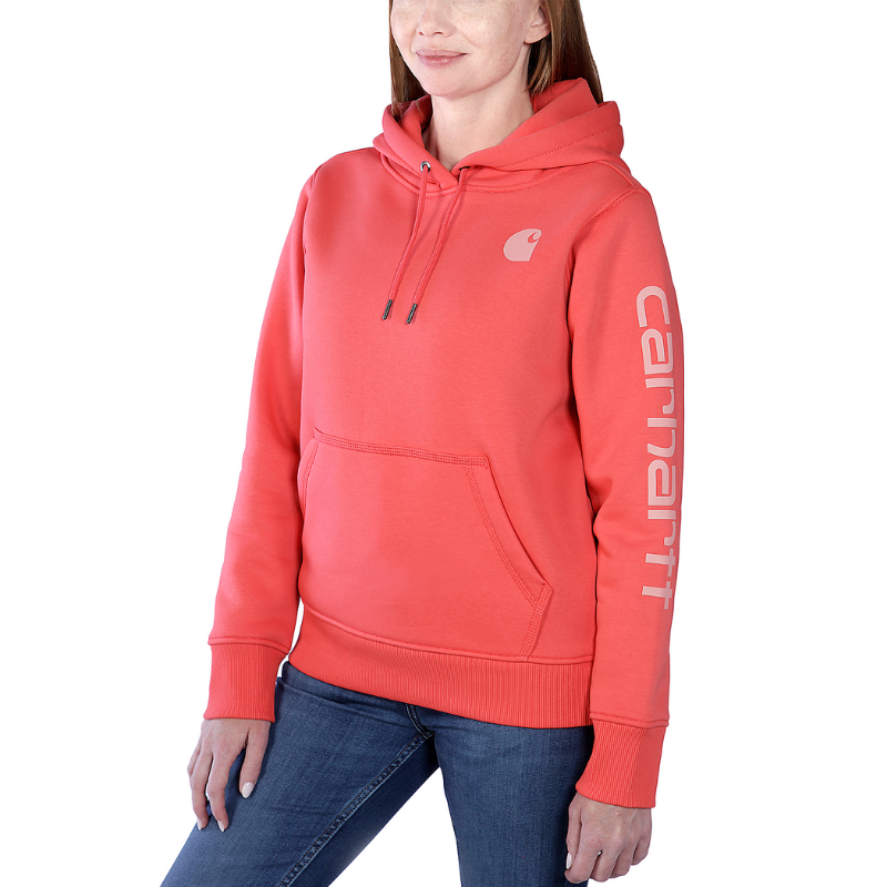 Picture of CARHARTT Logo Sleeve Graphic Sweatshirt 102791 Γυναικείο Φούτερ με κουκούλα R85 - Bittersweet